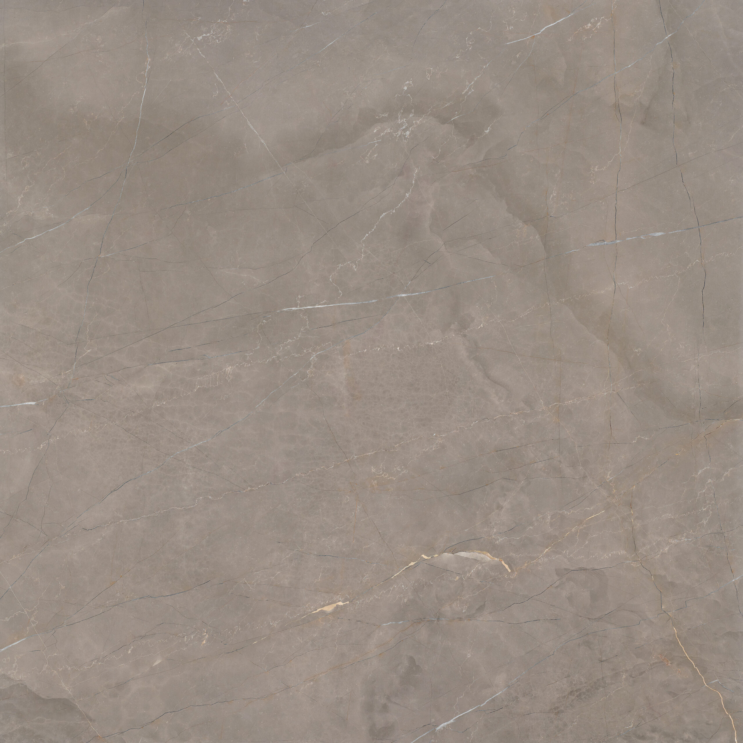 Carrelage poli Akron Taupe 120 x 120cm, Grès cérame, pour intérieur et extérieur