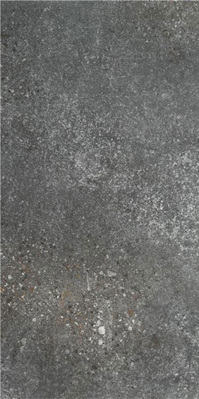 Carrelage aspect béton Advance Anthracite 120 x 59.5cm, Grès cérame, pour intérieur et extérieur