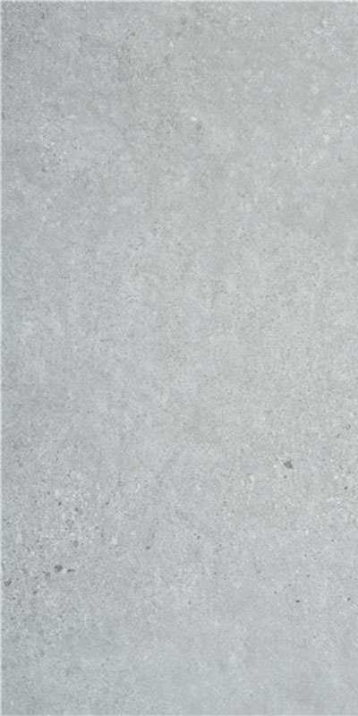 Carrelage aspect béton Advance grey 120 x 59.5cm, Grès cérame, pour intérieur et extérieur