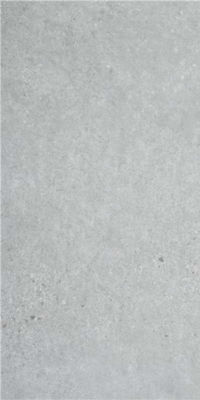 Carrelage aspect béton Advance grey 120 x 59.5cm, Grès cérame, pour intérieur et extérieur