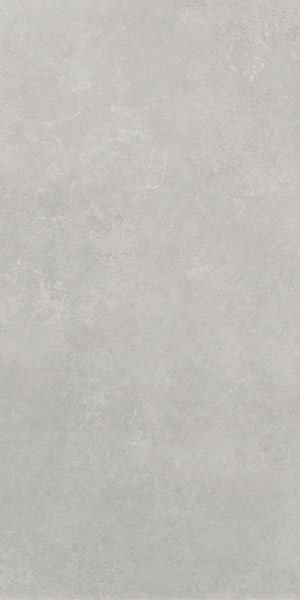 Carrelage aspect beton Baltimore Ceniza light grey 120 x 60cm, Grès cérame, pour intérieur et extérieur