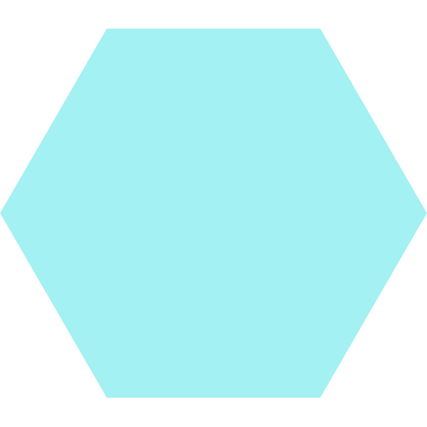 Carrelage hexagonal Basic Aqua 25 x 22cm, Grès cérame, pour intérieur et extérieur