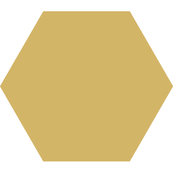 Carrelage hexagonal Basic Dandelion 25 x 22cm, Grès cérame, pour intérieur et extérieur