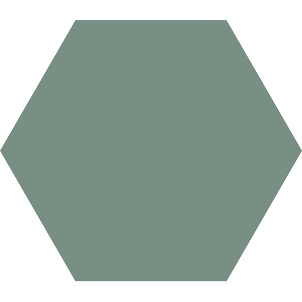 Carrelage hexagonal Basic Kale 25 x 22cm, Grès cérame, pour intérieur et extérieur