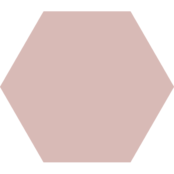 Carrelage hexagonal Basic Rose 25 x 22cm, Grès cérame, pour intérieur et extérieur