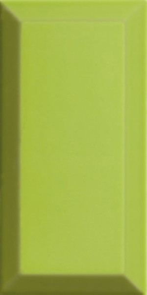 Faïence Bisel Verde brillant 20 x 10cm, Pate rouge, pour intérieur