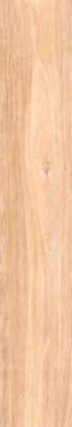 Carrelage aspect bois Faedo Haya 120 x 20cm, Grès cérame, pour intérieur et extérieur