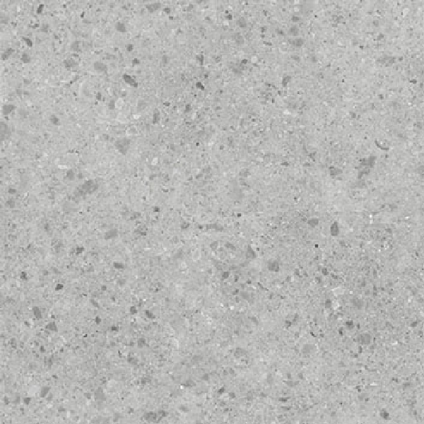 Carrelage Geotech Grey 60 x 60cm, Grès cérame, pour intérieur et extérieur