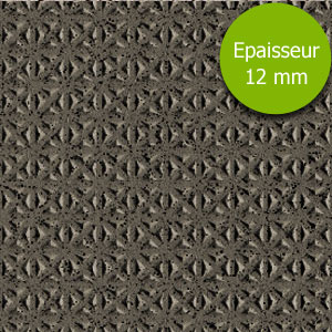 Carrelage technique Graniti Elba Star ep12mm 20 x 20 cm, Grès cérame, pour intérieur et extérieur