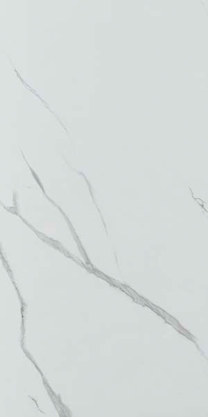 Carrelage poli Grayish 60 x 30cm, Grès cérame, pour intérieur et extérieur