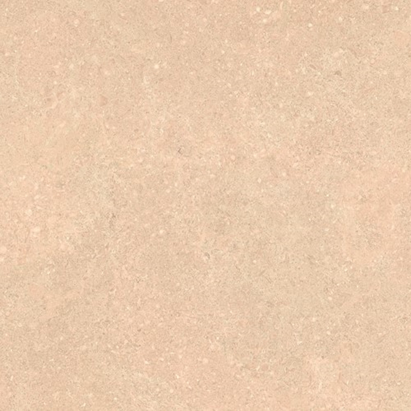 Carrelage terrasse 2cm Juliette Bone 60 x 60cm, Grès cérame, pour intérieur et extérieur