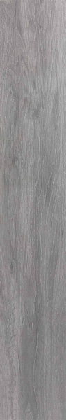 Carrelage Kootenai Pearl 120 x 20cm, Grès cérame, pour intérieur et extérieur