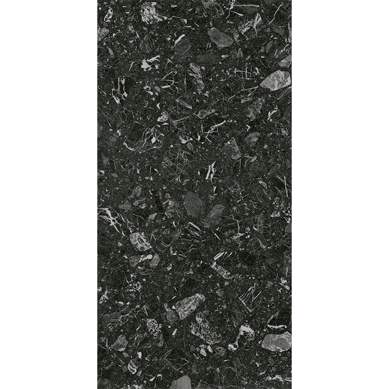 carrelage poli Luna Noir 119.3 x 59.3cm, Grès cérame, pour intérieur et extérieur