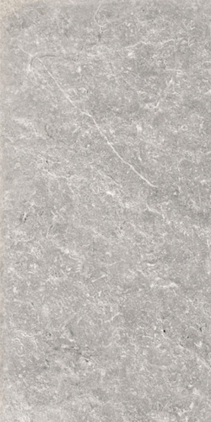 Carrelage terrasse 2cm Olympo Gris 120 x 60cm, Grès cérame, pour intérieur et extérieur