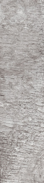 Carrelage imitation bois Oak Grey 90 x 22cm, Grès cérame, pour intérieur et extérieur