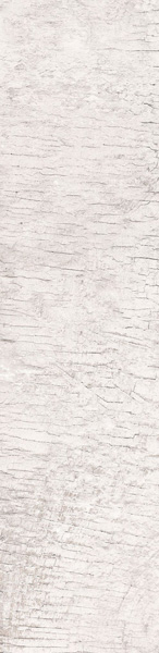 Carrelage imitation bois Oak White 90 x 22cm, Grès cérame, pour intérieur et extérieur