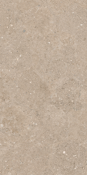 Carrelage Pisano Taupe 120 x 60cm, Grès cérame, pour intérieur et extérieur