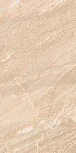 Carrelage Safari Beige 61.3 x 30.3cm, Grès cérame, pour intérieur et extérieur