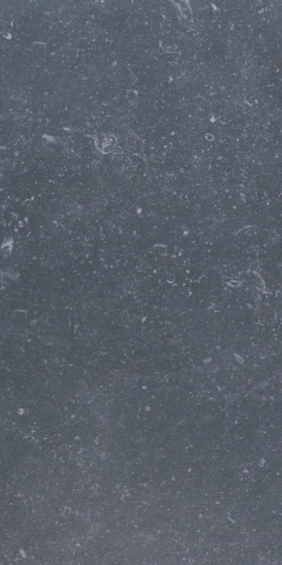 carrelage aspect pierre Wisconsin anthracite 60 x 30cm, Grès cérame, pour intérieur et extérieur