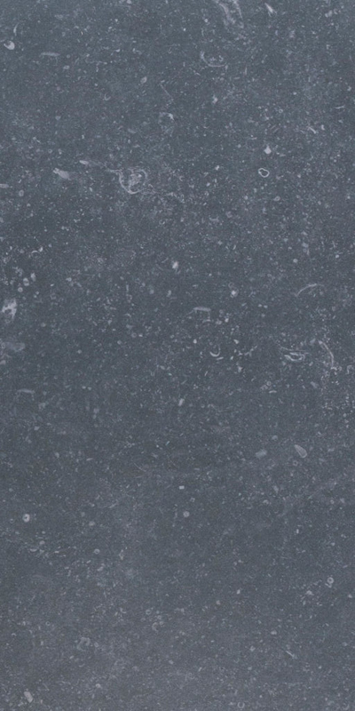 carrelage aspect pierre Wisconsin anthracite 60 x 30cm, Grès cérame, pour intérieur et extérieur