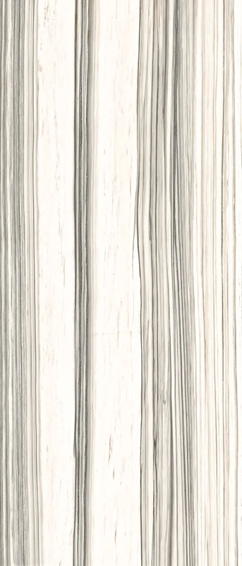 Carrelage lappato Aesthetica teinté dans la masse 60x120cm - AE ZEB6 12 LPM 120 x 60cm, Grès cérame, pour