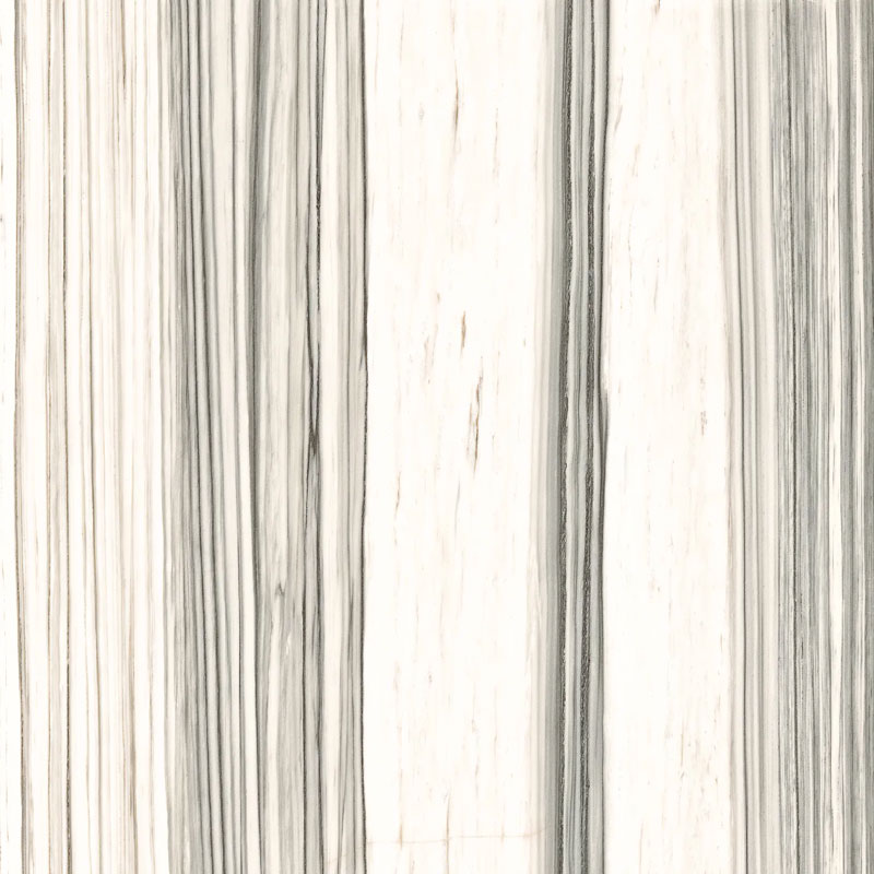 Carrelage poli Aesthetica teinté dans la masse 120x120cm - AE ZEB6 120 LP 120 x 120cm, Grès cérame, pour