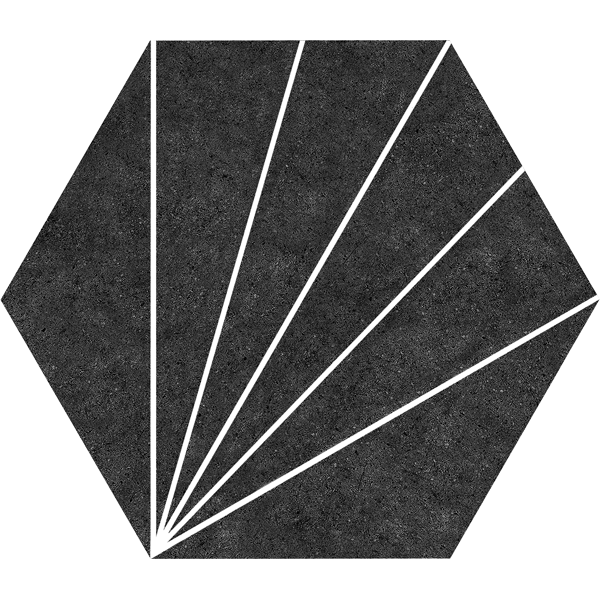 carrelage hexagonal Aster Nero 25 x 22cm, Grès cérame, pour intérieur et extérieur