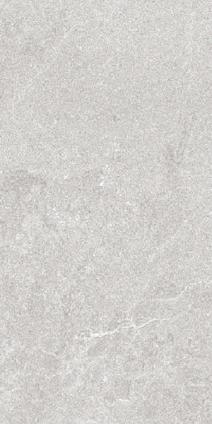 carrelage aspect béton Astor Grey 120 x 60cm, Grès cérame, pour intérieur et extérieur