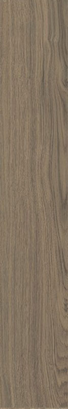 carrelage imitation bois Axis Oak 120 x 20cm, Grès cérame, pour intérieur et extérieur