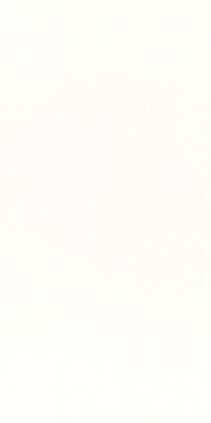 Carrelage mural blanco white shine 60 x 31.6cm, Pate blanche, pour intérieur