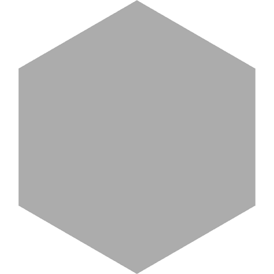 Basic Silver Hexagonal 25cm 25 x 22cm, Grès cérame, pour intérieur et extérieur