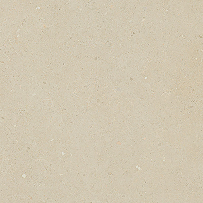 Dalle 2cm Brera Bloom TH2 60x60cm - R11 60 x 60cm, Grès cérame, pour intérieur et extérieur