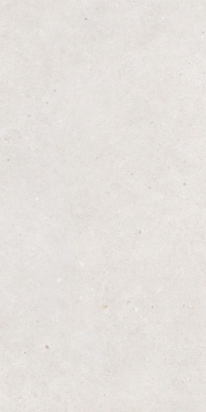 carrelage Brera Fresh 120 x 60cm, Grès cérame, pour intérieur et extérieur