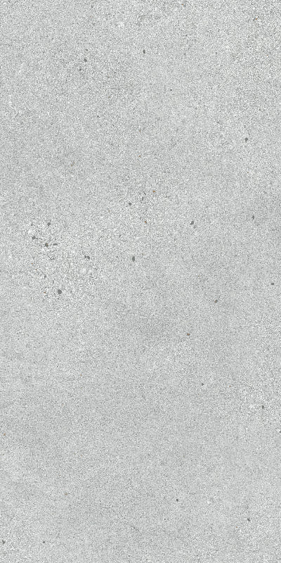 Carrelage Brighton Grey mat 60x120cm 120 x 60cm, Grès cérame, pour intérieur et extérieur