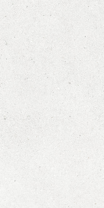 Carrelage Brighton Pearl mat 60x120cm 120 x 60cm, Grès cérame, pour intérieur et extérieur