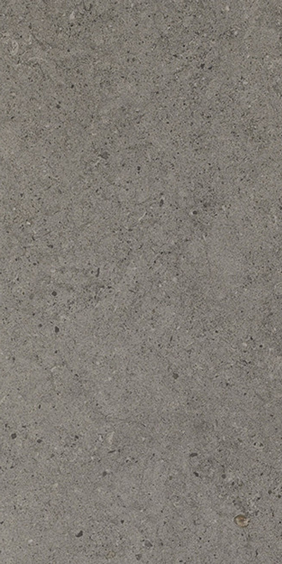 dalle 2cm Concept anthracite 100 x 50cm, Grès cérame, pour intérieur et extérieur