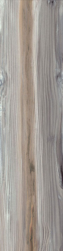 carrelage imitation bois Echo Ash 100 x 25cm, Grès cérame, pour intérieur et extérieur