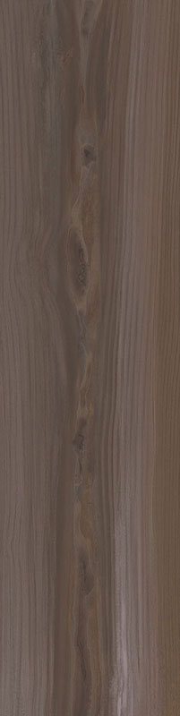 carrelage imitation bois Echo Brown 100 x 25cm, Grès cérame, pour intérieur et extérieur