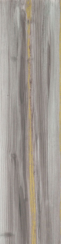 carrelage imitation bois Echo Gold 100 x 25cm, Grès cérame, pour intérieur et extérieur