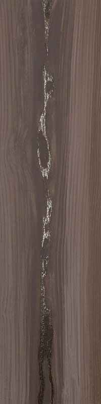 carrelage imitation bois Echo Silver 100 x 25cm, Grès cérame, pour intérieur et extérieur
