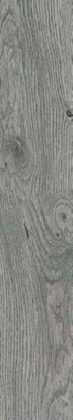 Carrelage imitation bois Ess.Tree Gris IN&OUT 120 x 20cm, Grès cérame, pour intérieur et extérieur