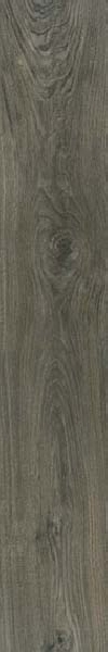 Carrelage imitation bois Ess.Tree Taupe IN&OUT 120 x 20cm, Grès cérame, pour intérieur et extérieur
