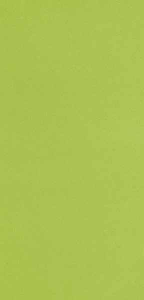 Faïence liso Verde brillo 20 x 10cm, Pate rouge, pour intérieur et extérieur
