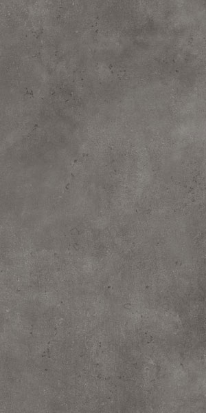carrelage aspect beton Lloret Grafito antidérapant 59.2 x 29.2cm, Grès cérame, pour intérieur et extérieur