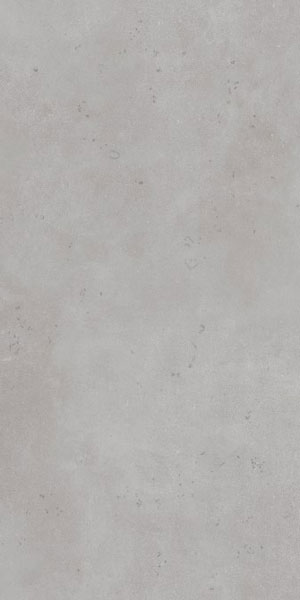 carrelage aspect béton Lloret gris 59.2 x 29.2cm, Grès cérame, pour intérieur et extérieur