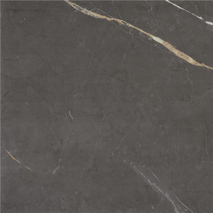 carrelage Meraki anthracite naturel 60 x 60cm, Grès cérame, pour intérieur et extérieur