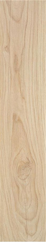carrelage imitation bois Milton Natural 120 x 23cm, Grès cérame, pour intérieur et extérieur