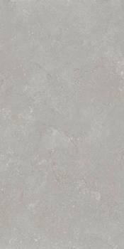 Carrelage Party Algarve Gris 60x120cm - teinté dans la masse - ALGAR6 12G RM 120 x 60cm, Grès cérame, pour