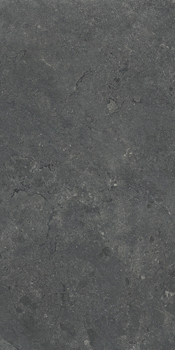 Carrelage Party Algarve Gris foncé 60x120cm - teinté dans la masse - ALGAR6 12DG RM 120 x 60cm, Grès cérame, pour