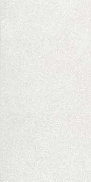 carrelage Kiel RL blanc Lappato 60 x 30cm, Grès cérame, pour intérieur et extérieur
